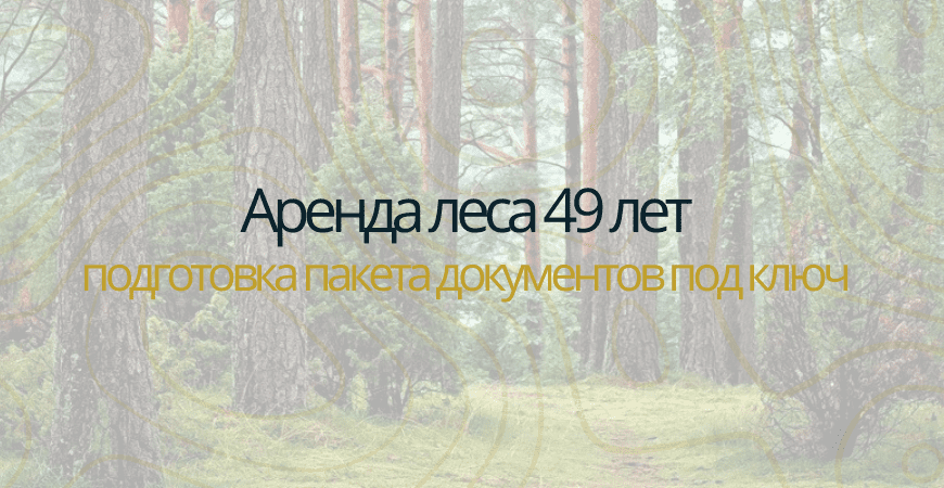 Аренда леса на 49 лет Аренда леса на 49 лет в Волхове
